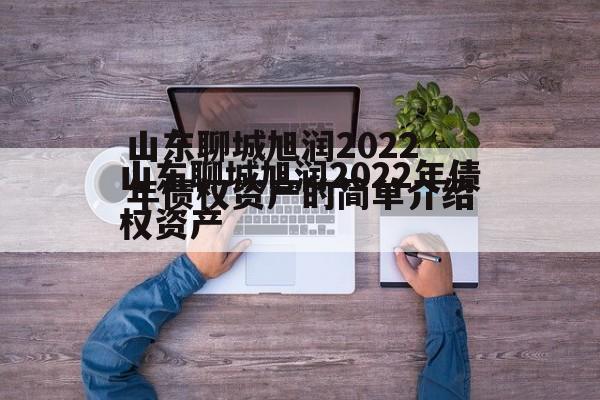 山东聊城旭润2022年债权资产的简单介绍