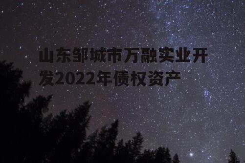 山东邹城市万融实业开发2022年债权资产