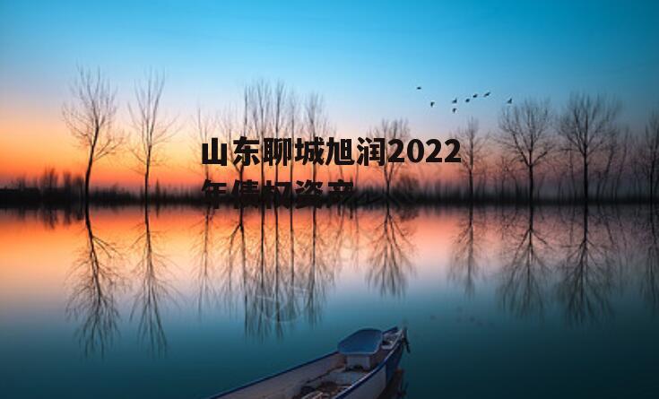 山东聊城旭润2022年债权资产