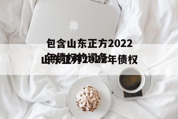 包含山东正方2022年债权的词条