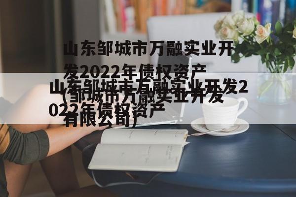 山东邹城市万融实业开发2022年债权资产(邹城市万融实业开发有限公司)