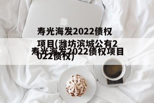 寿光海发2022债权项目(潍坊滨城公有2022债权)