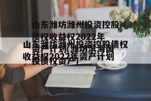 山东潍坊潍州投资控股债权收益权2022年资产计划(潍坊滨海国投债权资产)