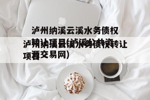 泸州纳溪云溪水务债权转让项目(泸溪公共资源交易网)