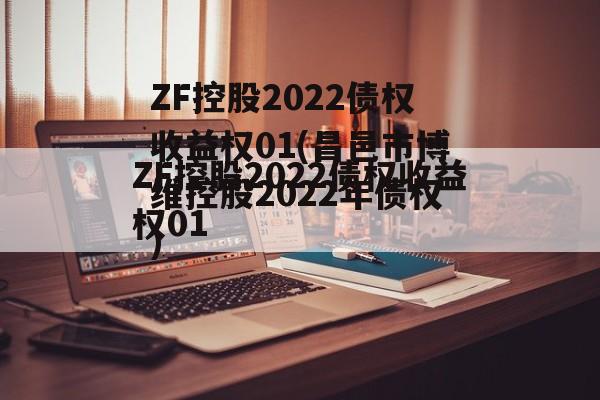 ZF控股2022债权收益权01(昌邑市博维控股2022年债权)