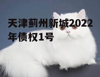 天津蓟州新城2022年债权1号