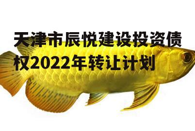 天津市辰悦建设投资债权2022年转让计划