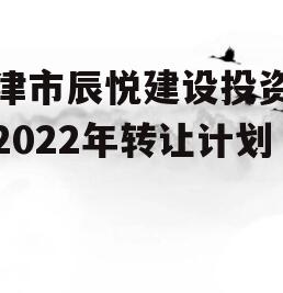 天津市辰悦建设投资债权2022年转让计划