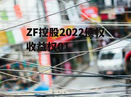 ZF控股2022债权收益权01