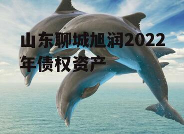 山东聊城旭润2022年债权资产