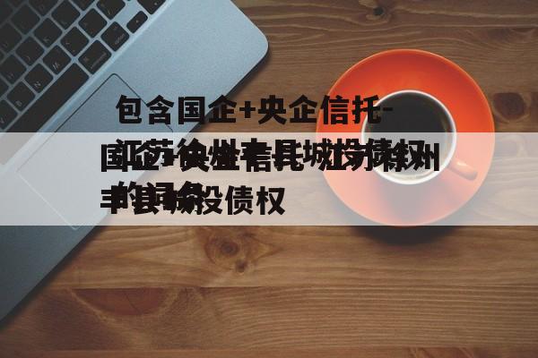 包含国企+央企信托-江苏徐州丰县城投债权的词条