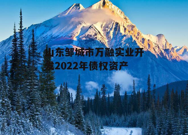 山东邹城市万融实业开发2022年债权资产