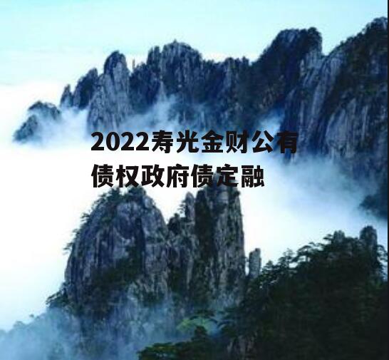 2022寿光金财公有债权政府债定融