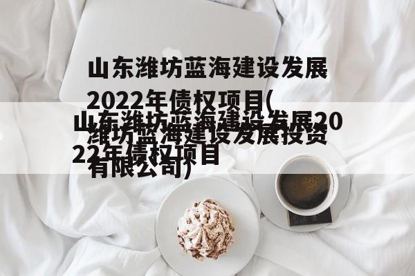 山东潍坊蓝海建设发展2022年债权项目(潍坊蓝海建设发展投资有限公司)