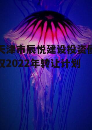 天津市辰悦建设投资债权2022年转让计划