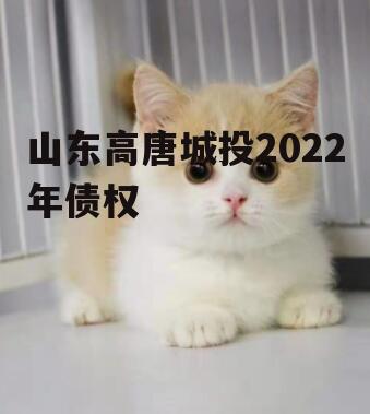 山东高唐城投2022年债权