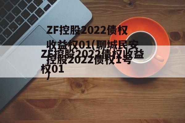 ZF控股2022债权收益权01(聊城民安控股2022债权1号)