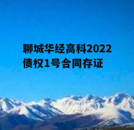 聊城华经高科2022债权1号合同存证