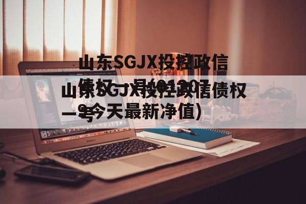 山东SGJX投控政信债权一号(012079今天最新净值)