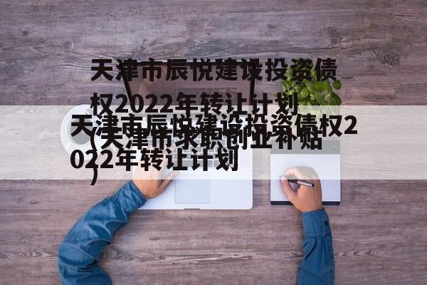 天津市辰悦建设投资债权2022年转让计划(天津市求职创业补贴)