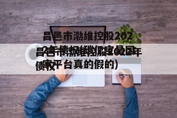 昌邑市渤维控股2022年债权(碳亿宝是国家平台真的假的)