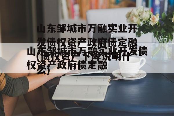 山东邹城市万融实业开发债权资产政府债定融(债权资产下降说明什么)