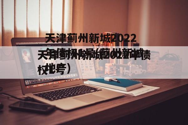 天津蓟州新城2022年债权1号(蓟州新城地产)