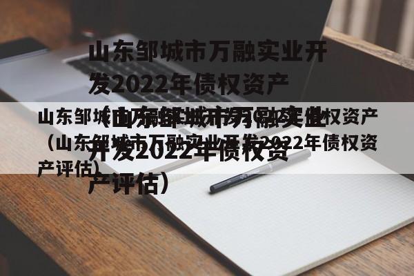 山东邹城市万融实业开发2022年债权资产（山东邹城市万融实业开发2022年债权资产评估）