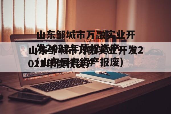 山东邹城市万融实业开发2022年债权资产(山东国有资产报废)