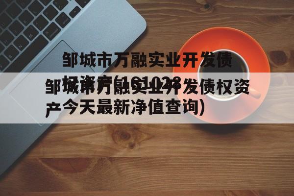 邹城市万融实业开发债权资产(161028今天最新净值查询)