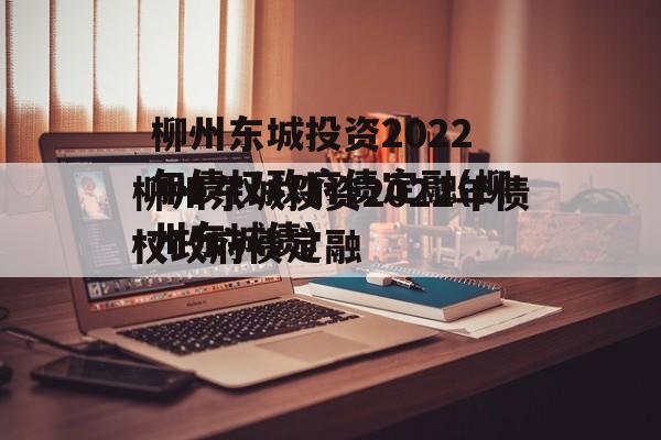 柳州东城投资2022年债权政府债定融(柳州东城债)