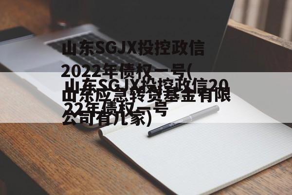 山东SGJX投控政信2022年债权一号(山东应急转贷基金有限公司有几家)