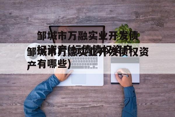 邹城市万融实业开发债权资产(标债债权资产有哪些)