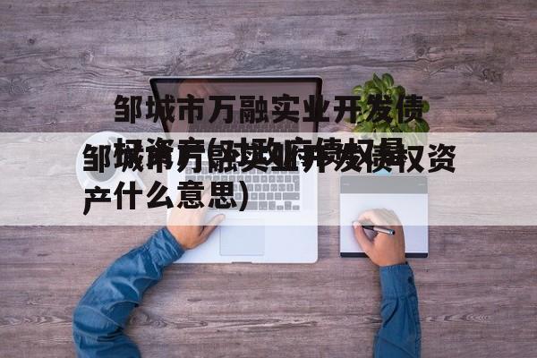 邹城市万融实业开发债权资产(对政府债权是什么意思)