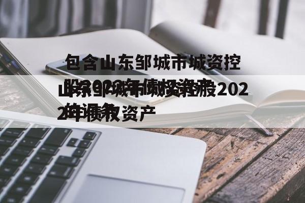 包含山东邹城市城资控股2022年债权资产的词条
