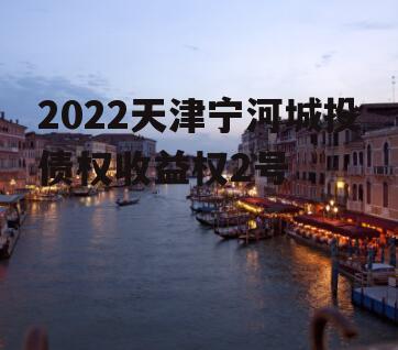 2022天津宁河城投债权收益权2号