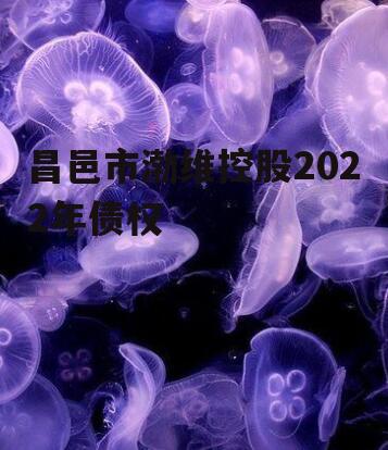 昌邑市渤维控股2022年债权