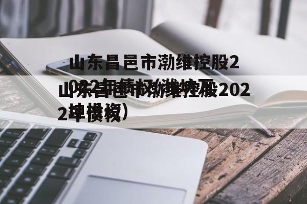 山东昌邑市渤维控股2022年债权(潍坊万坤投资)