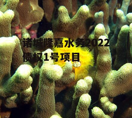 诸城隆嘉水务2022债权1号项目