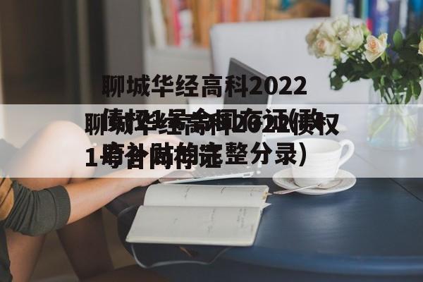 聊城华经高科2022债权1号合同存证(政府补贴的完整分录)