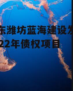 山东潍坊蓝海建设发展2022年债权项目
