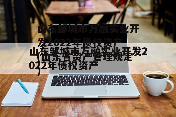 山东邹城市万融实业开发2022年债权资产(山东省资产管理规定)