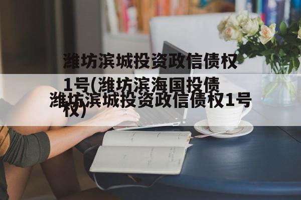 潍坊滨城投资政信债权1号(潍坊滨海国投债权)