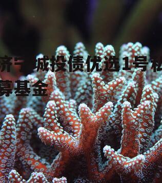 济宁城投债优选1号私募基金