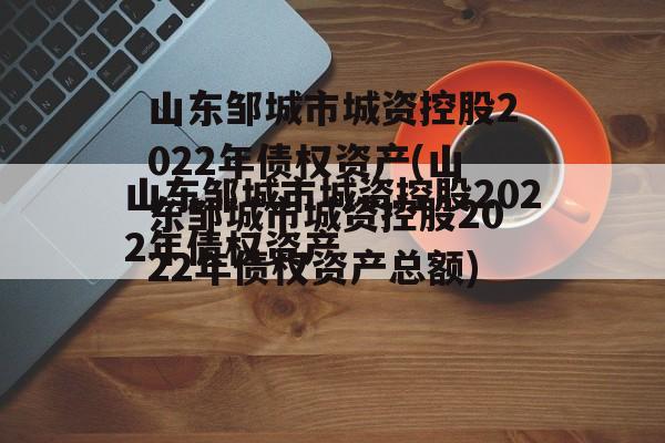 山东邹城市城资控股2022年债权资产(山东邹城市城资控股2022年债权资产总额)