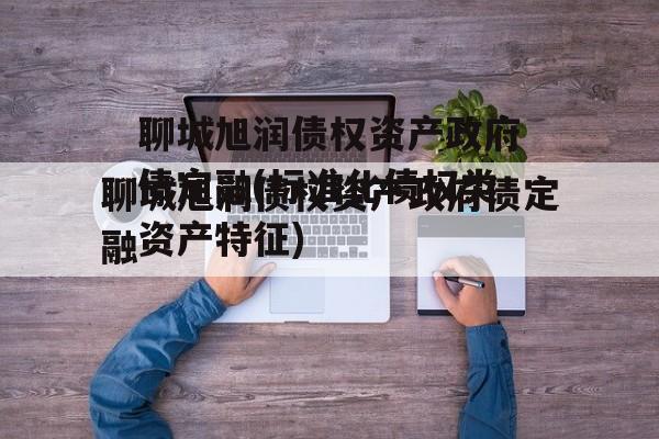 聊城旭润债权资产政府债定融(标准化债权类资产特征)