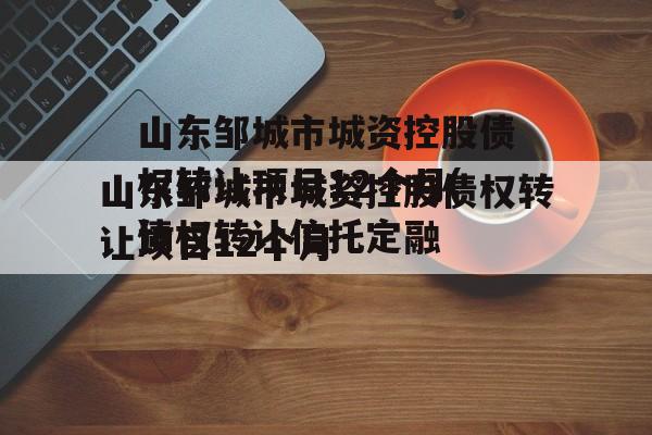 山东邹城市城资控股债权转让项目12个月(债权转让信托定融
)