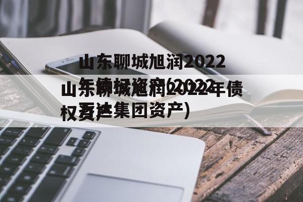 山东聊城旭润2022年债权资产(2022万达集团资产)