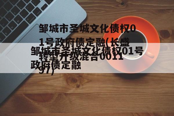 邹城市圣城文化债权01号政府债定融(长盛转型升级混合001197)