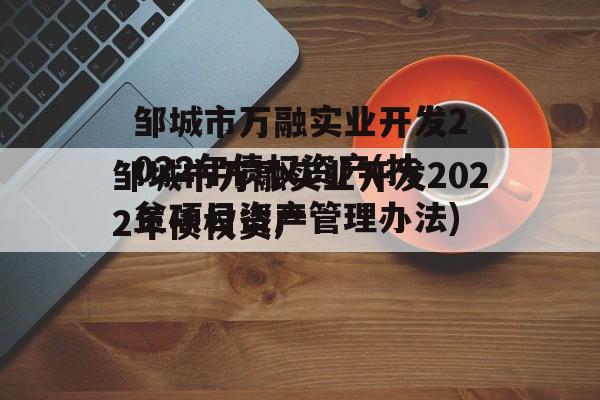 邹城市万融实业开发2022年债权资产(扶贫项目资产管理办法)